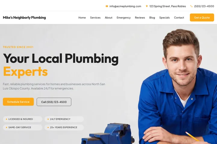 Professional plumber website design